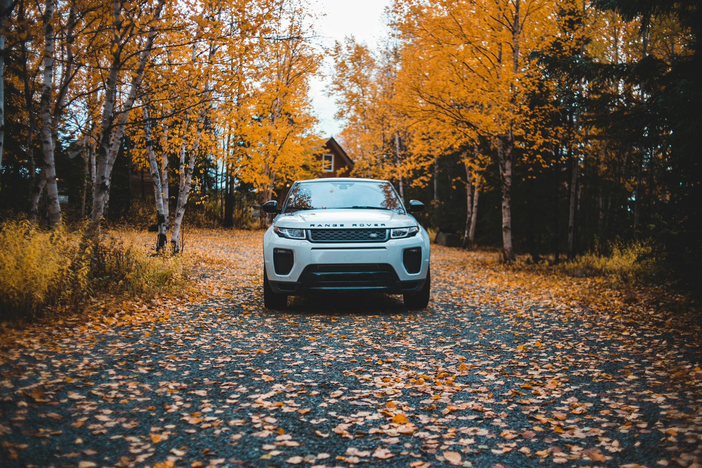 Range Rover Car Price in Canada​?